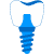Dental Implant